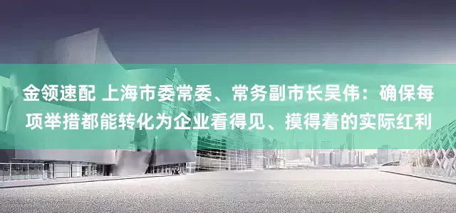 金领速配 上海市委常委、常务副市长吴伟：确保每项举措都能转化为企业看得见、摸得着的实际红利