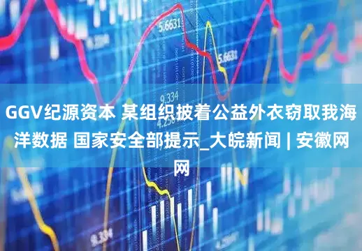 GGV纪源资本 某组织披着公益外衣窃取我海洋数据 国家安全部提示_大皖新闻 | 安徽网
