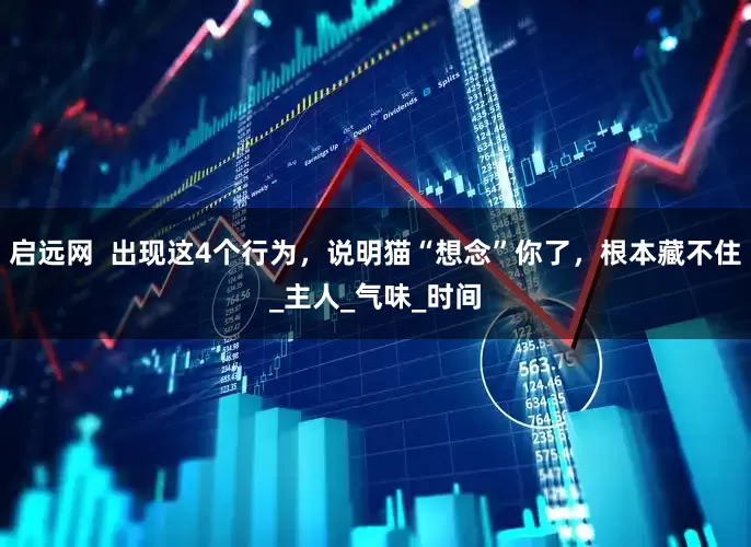启远网  出现这4个行为，说明猫“想念”你了，根本藏不住_主人_气味_时间