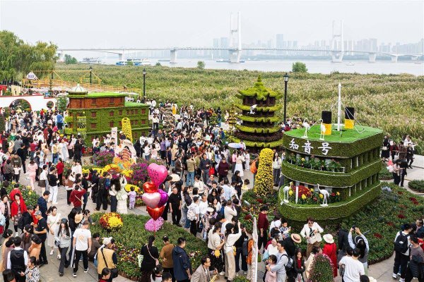亿正策略 江城秋色入画来 第42届武汉金秋菊展今日开展